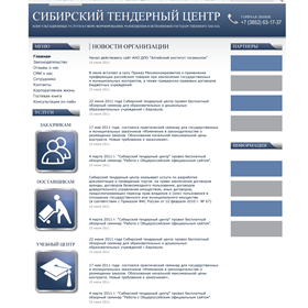С нуля: Сибирский Тендерный Центр